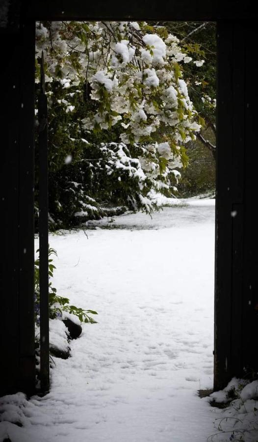 Arden Country House Bnb - Entire House To Yourself -Peace In The Country Данідін Екстер'єр фото